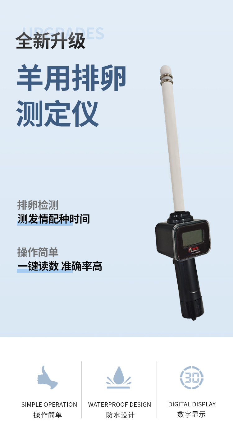 新款羊排详情_01