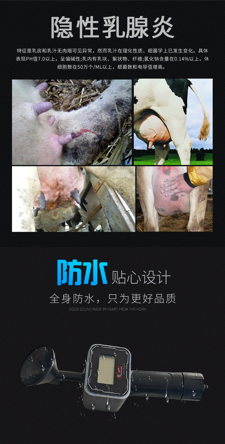 奶牛_02