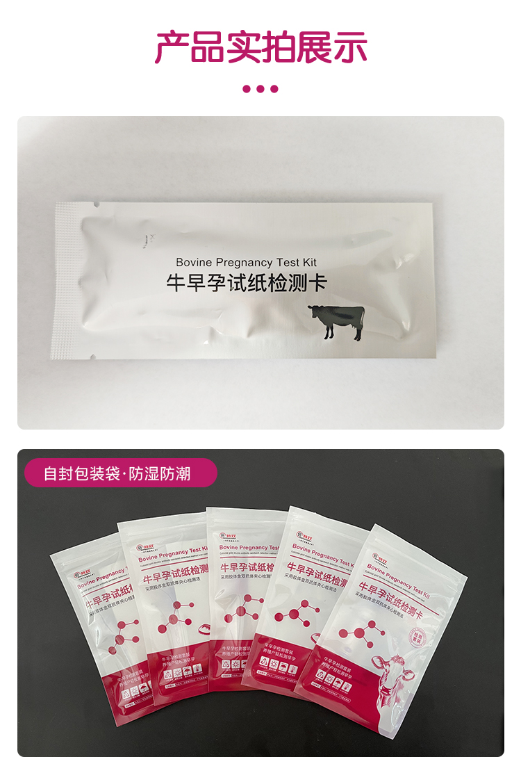 牛早孕试纸详情页---副本_06