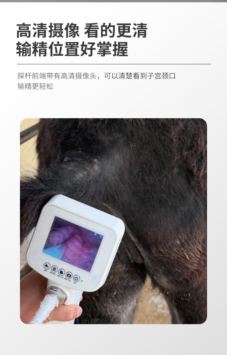 驴马可视输精枪详情_02