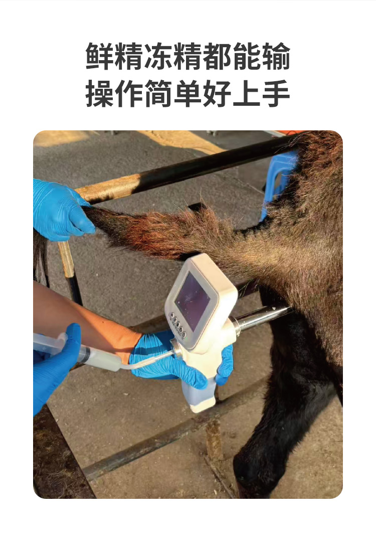 驴马可视输精枪详情_03