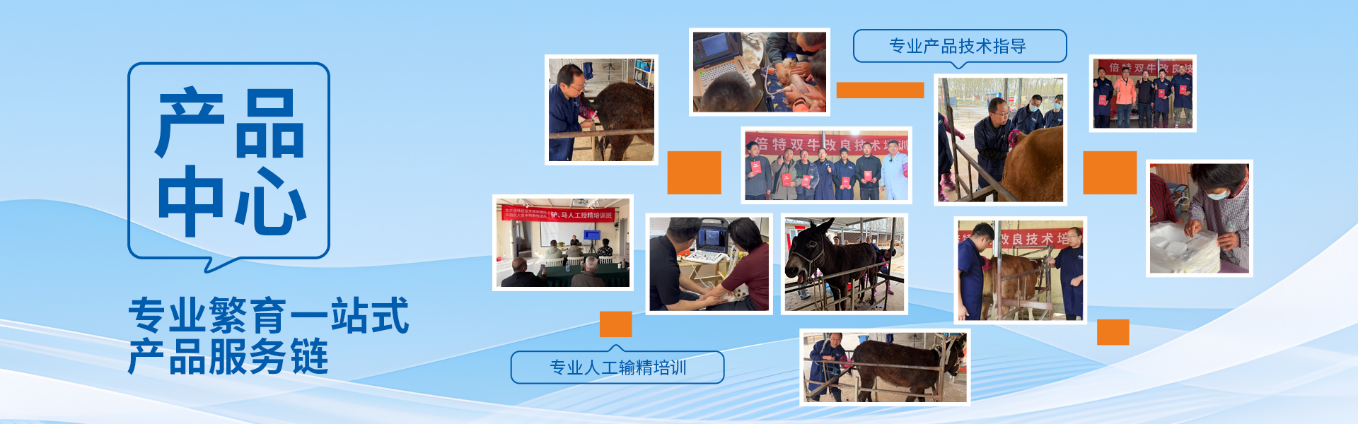 产品中心(1)