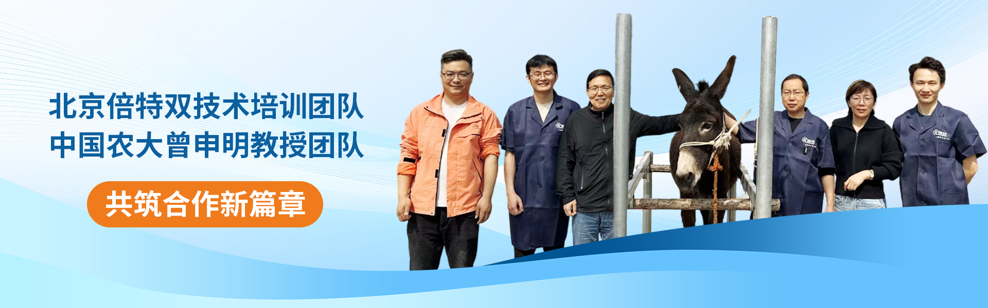 新闻动态(3)