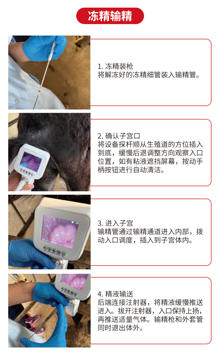 驴马可视输精枪详情_11