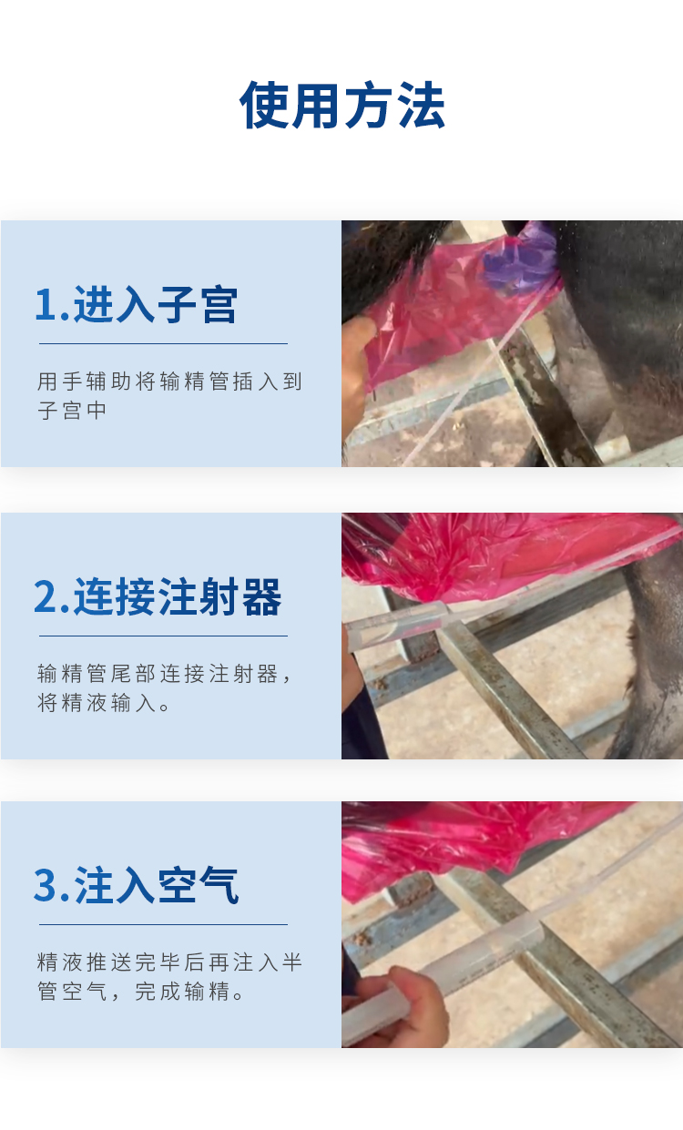 驴马人工输精管详情_04