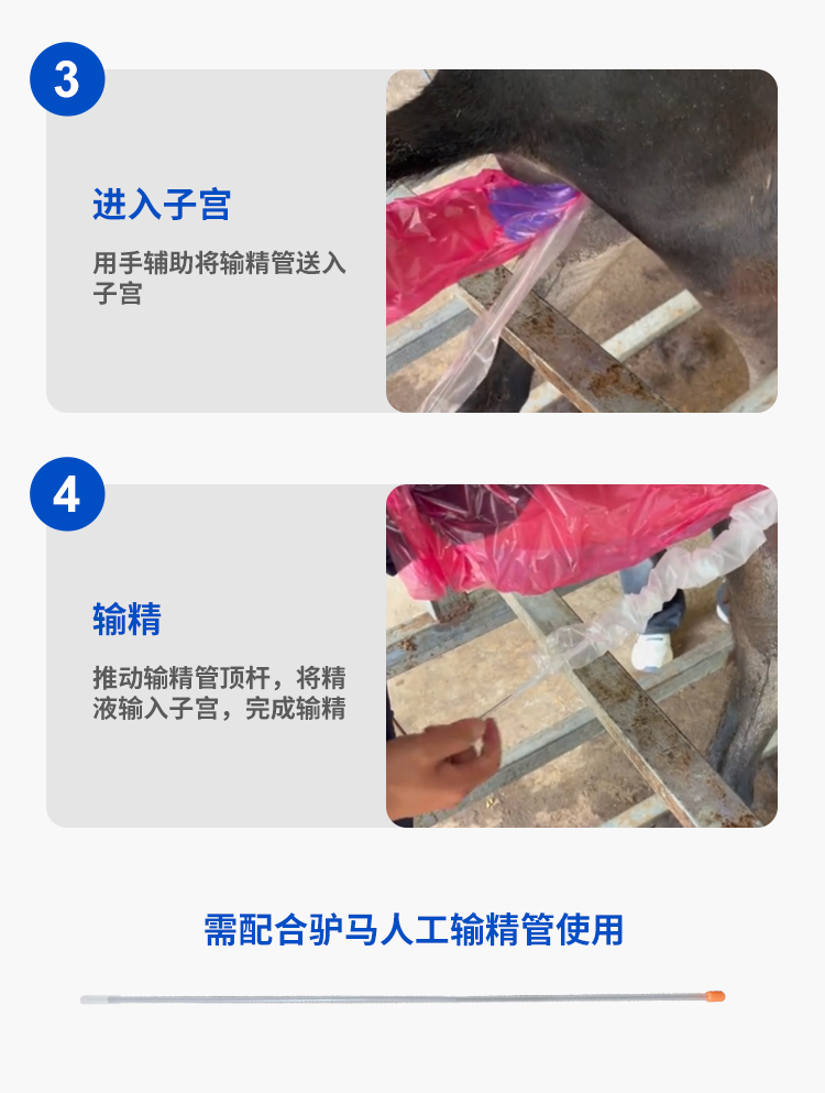 驴马输精管顶杆详情_04