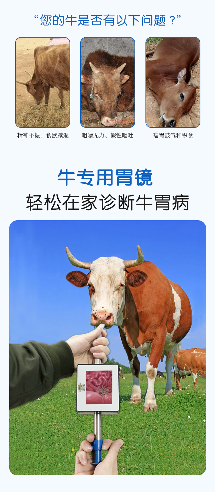 小牛看家—牛用胃镜（取铁器）2