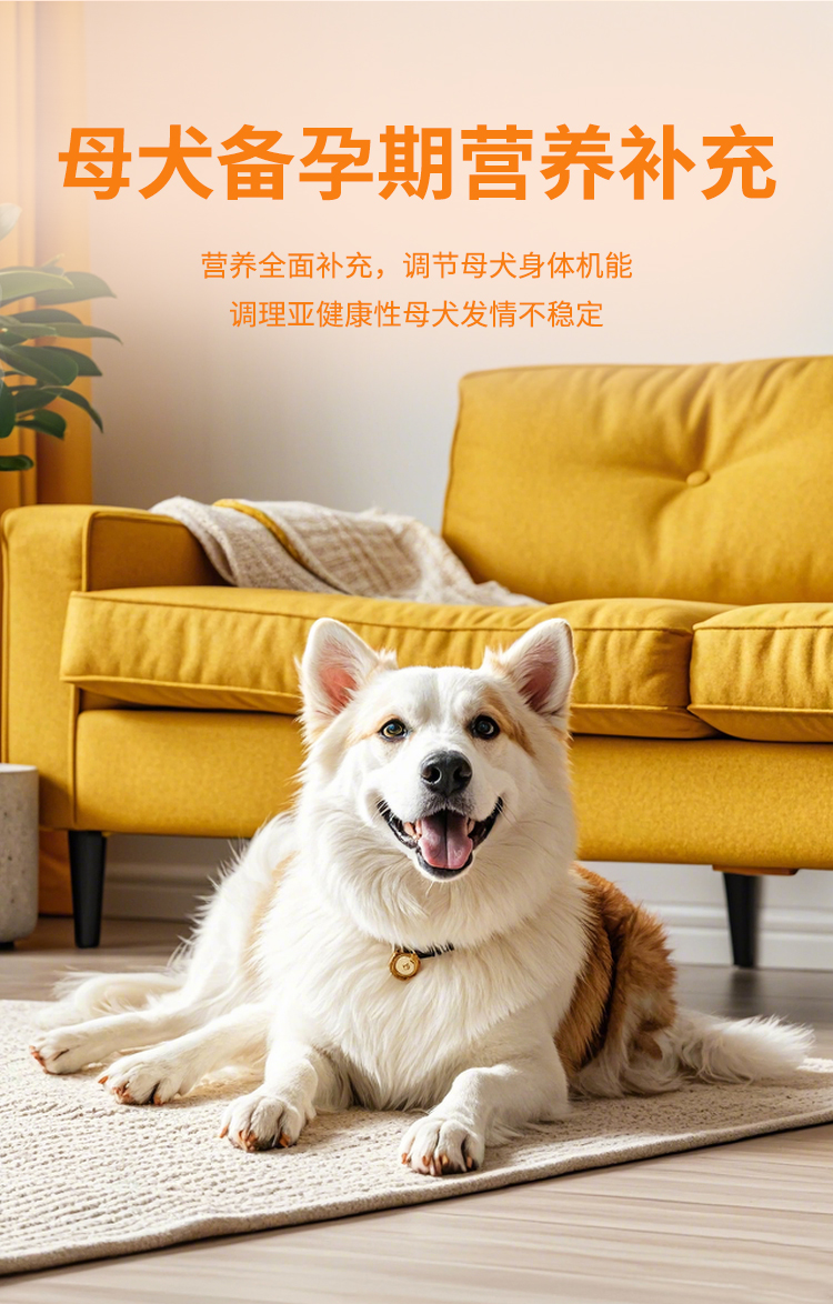 准备了详情_04