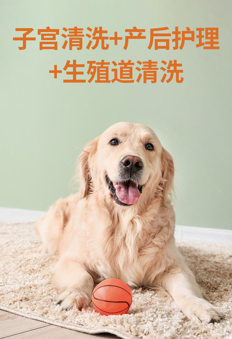 宫清净详情_02