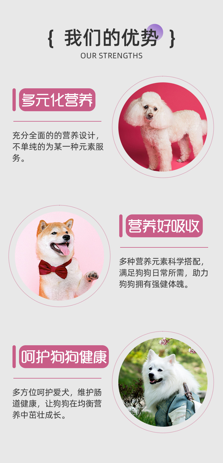 母犬二套详情_02