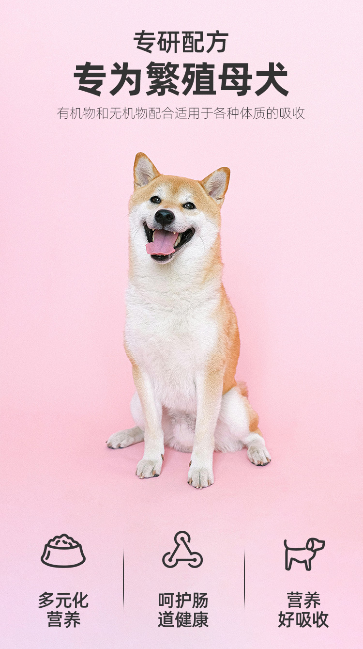 母犬二套详情_04