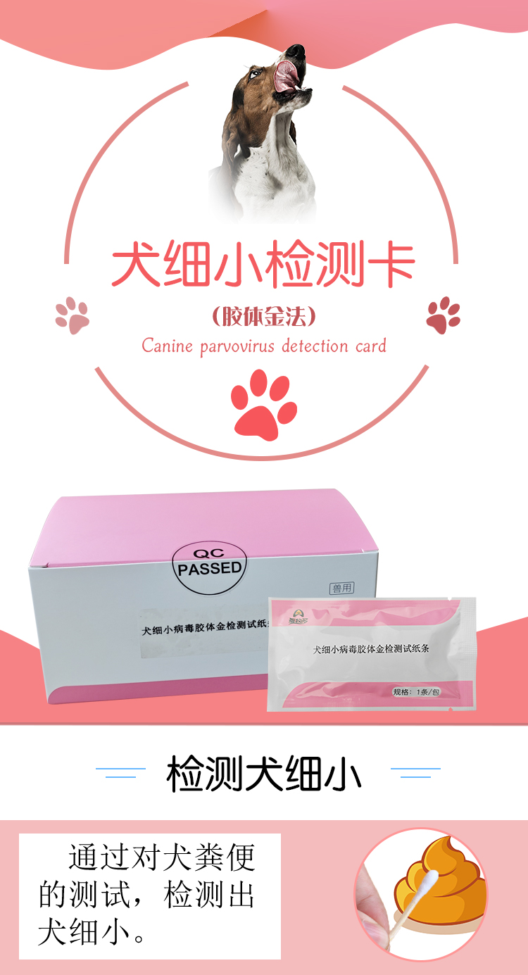 犬细小病毒检测卡_01