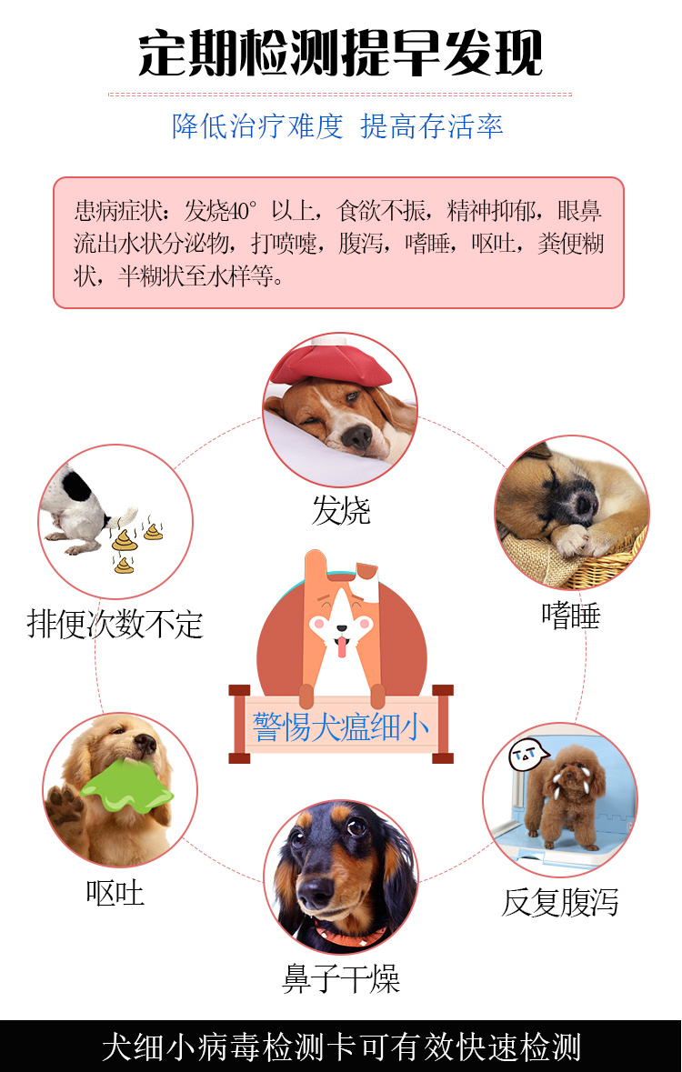 犬细小病毒检测卡_02