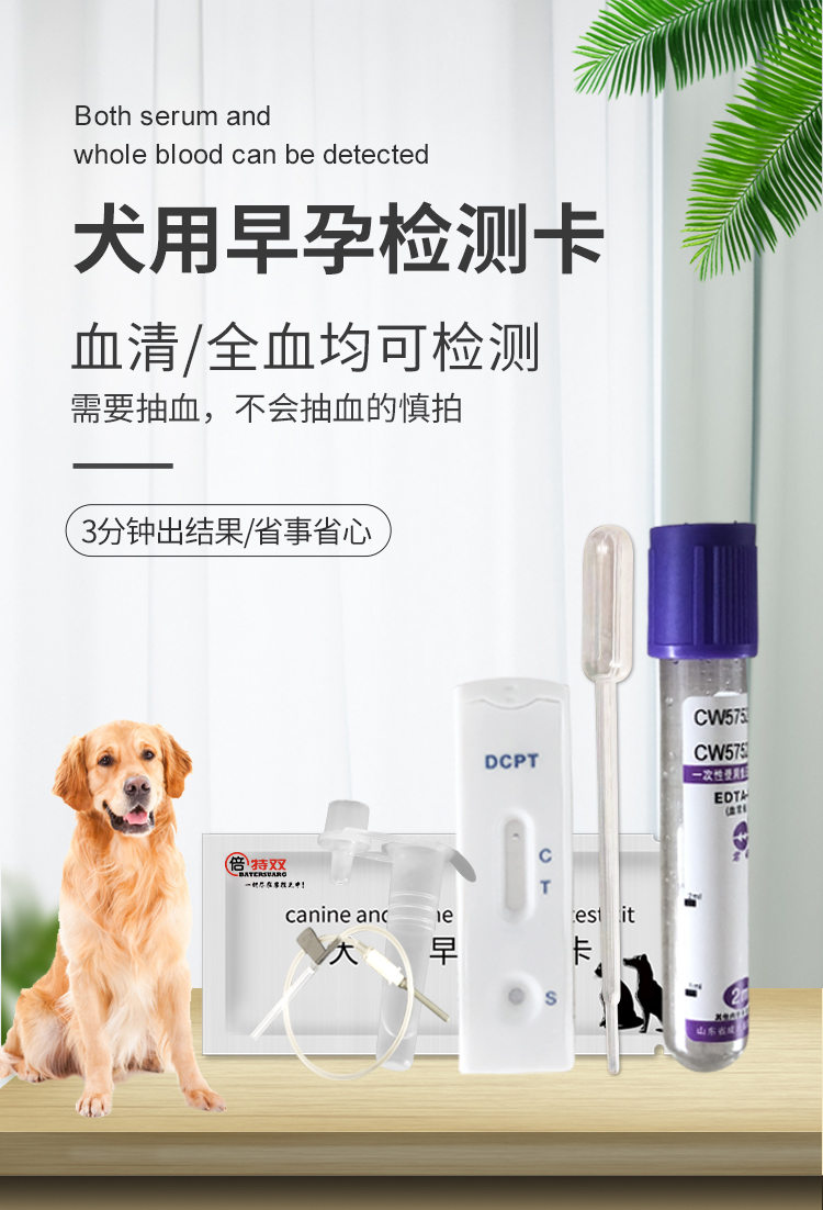 犬早孕_01