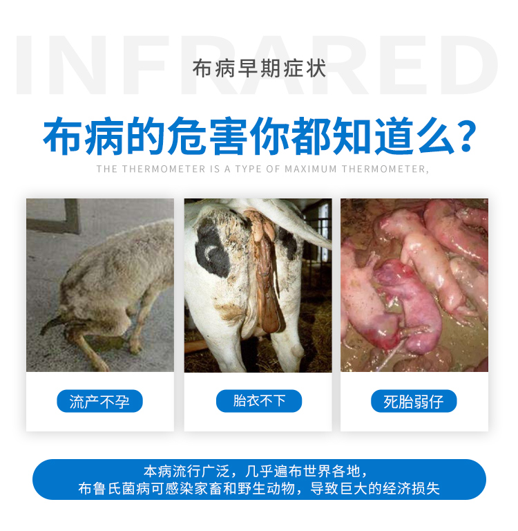 中性布病试纸-通用无采血_02