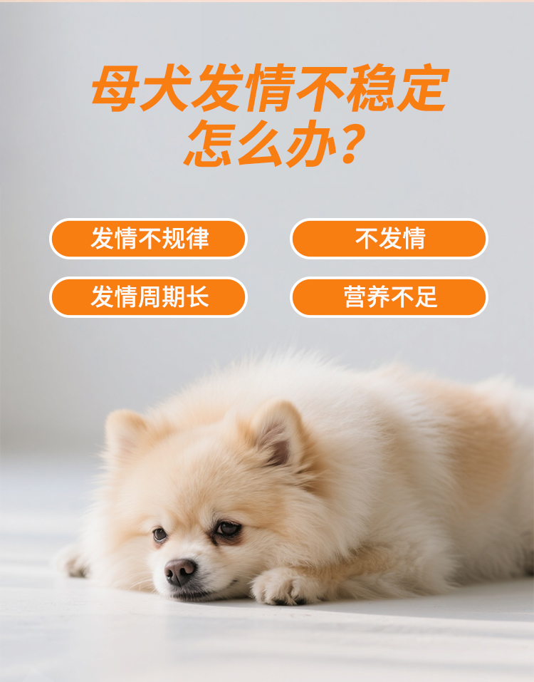 准备了详情_02