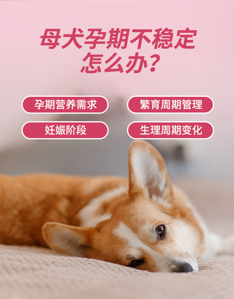 怀了详情_02