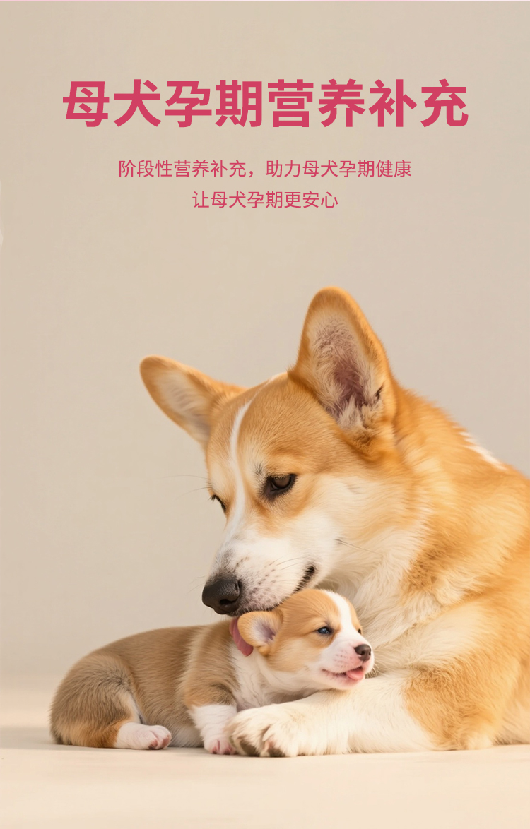 怀了详情_04