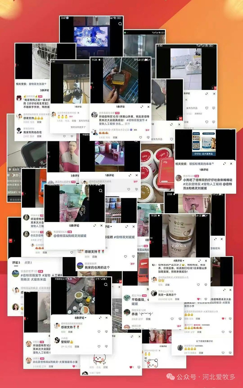 08a7ba02eeb9a7cc951caceb2ea4c8ba