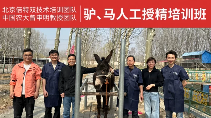 权威加持！倍特双联合中国农大曾申明教授团队，驴、马人工授精培训班3月30日正式开课