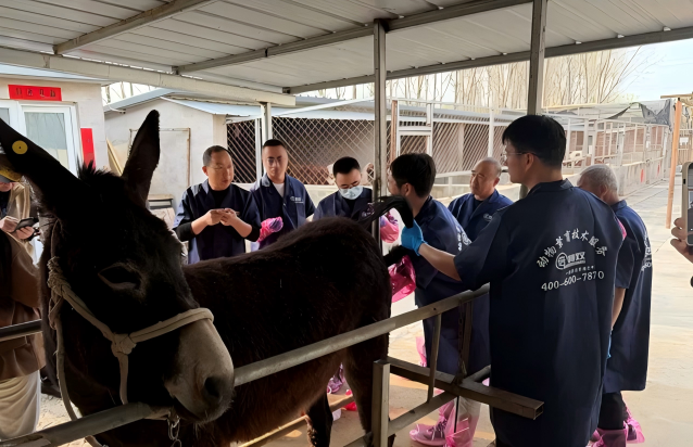 d4e94c2ae14343968ec05645116c6da8