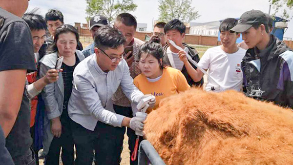 内蒙古呼伦贝尔市贝尔苏木畜牧兽医站-爱牧多案例