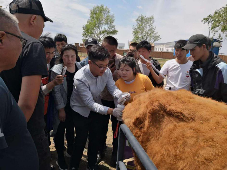 内蒙古呼伦贝尔市贝尔苏木畜牧兽医站-爱牧多案例