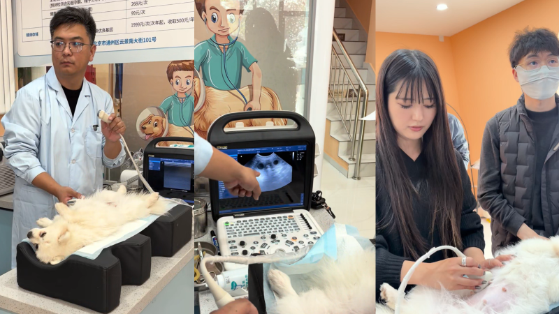 企业微信截图_17629397848469