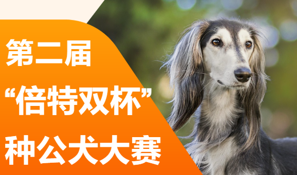 第二届 “倍特双杯” 种公犬大赛重磅来袭，万元大奖等你来战！