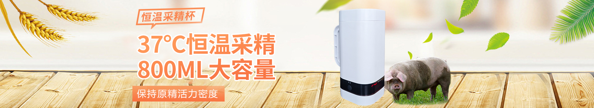 爱牧多猪用繁育养殖设备,猪排卵测定仪