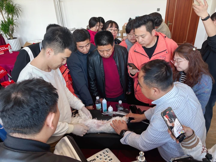 0b0bcee14a1e483e98200e99d1918e84