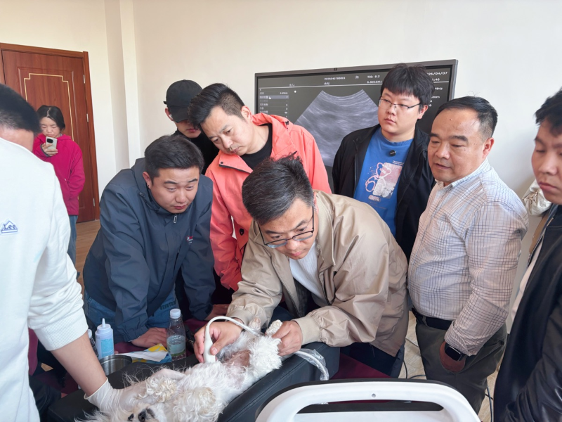 29256c8a7fd44d42935c174169038b53