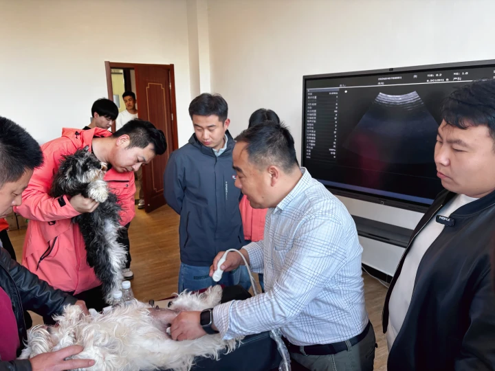 e53da532019f45dd9627465868addb1f