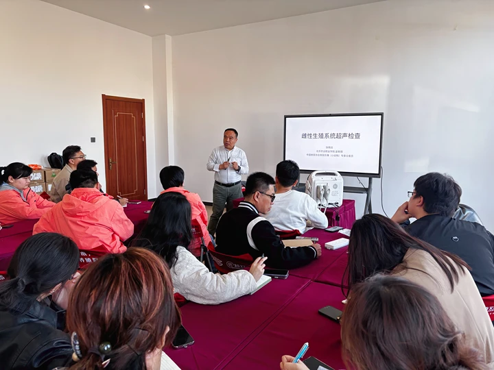 b13368d2ffd74914ab19e421a951ab46