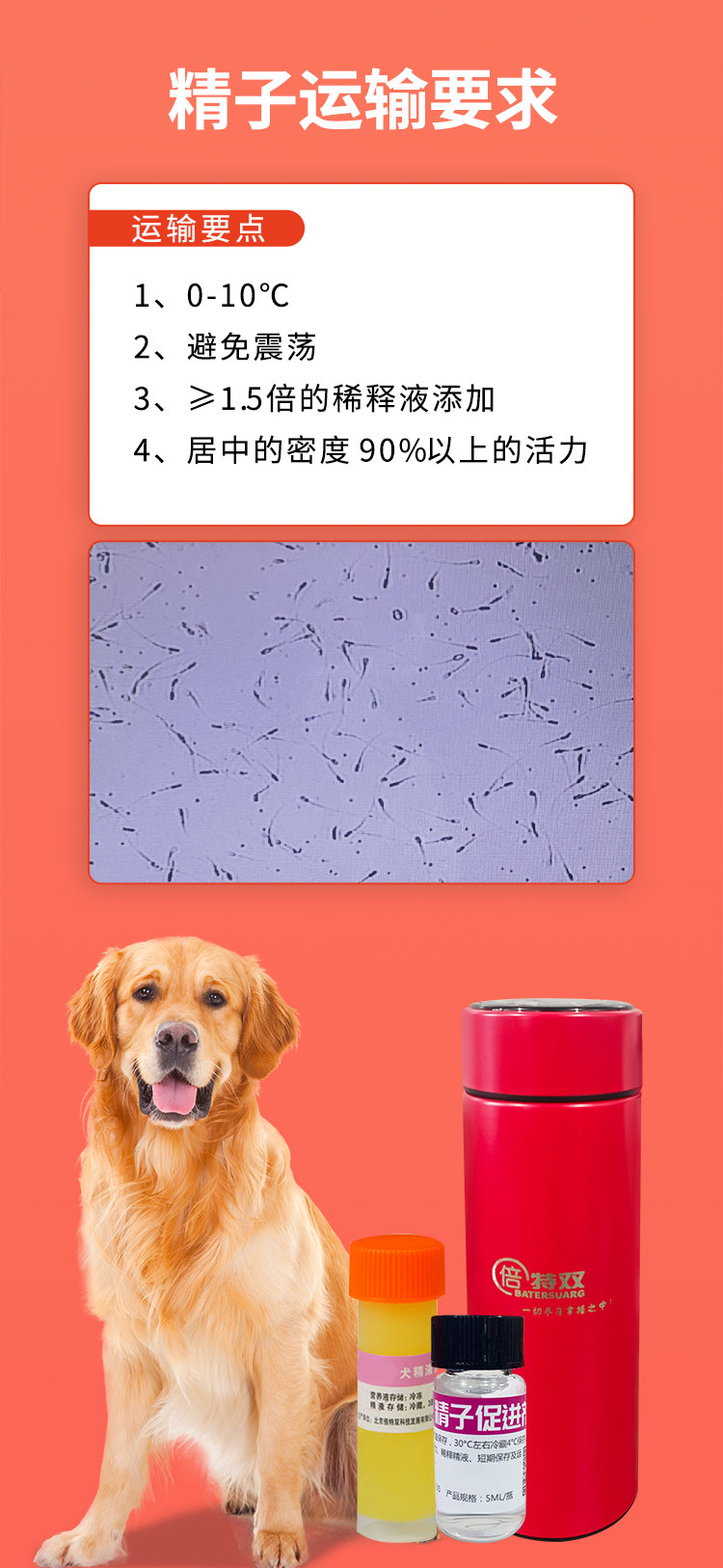 精子快运杯详情_02