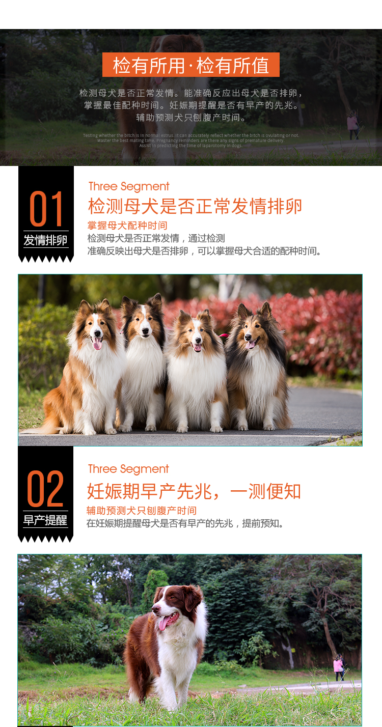 犬孕酮-中文_06