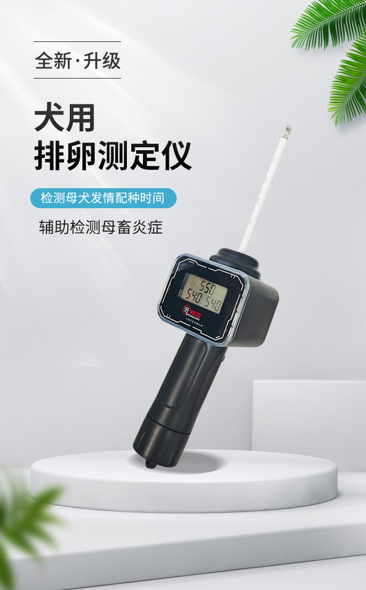 新款犬排详情_01