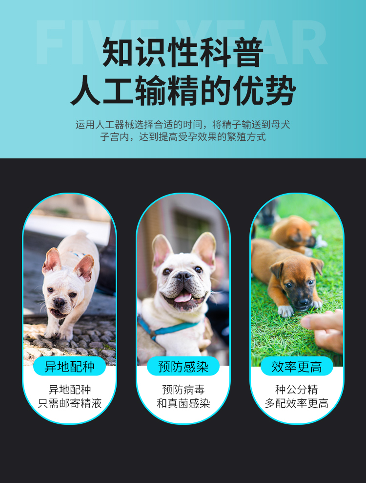 一次性输精管---副本_04