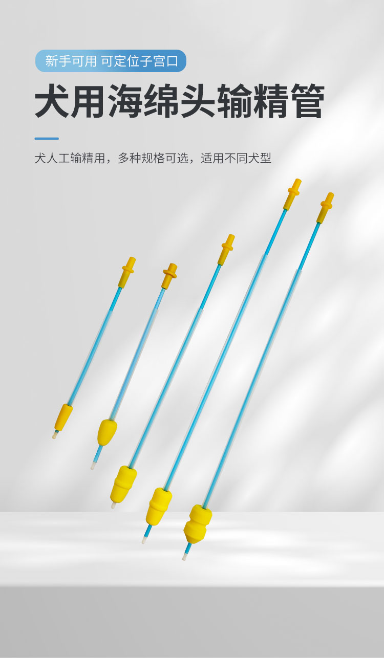 海绵头输精管详情_01