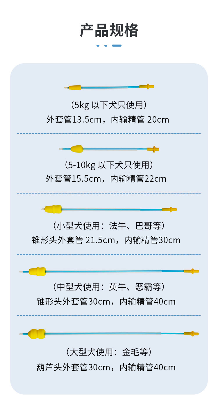 海绵头输精管详情_02