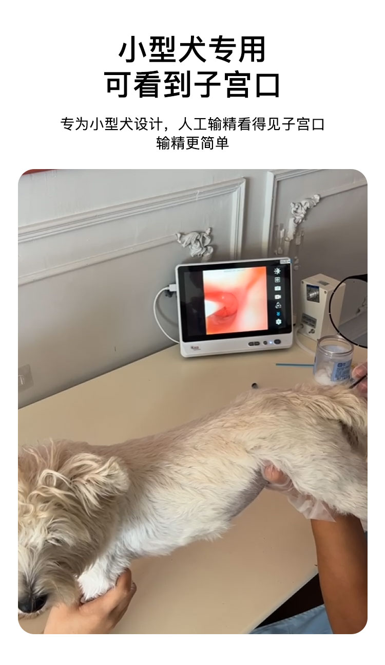 台式新款详情_02