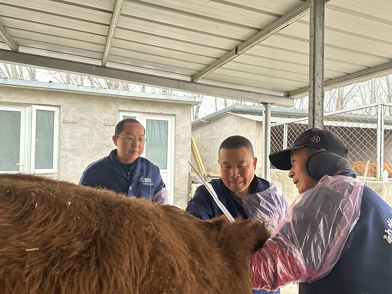 0f8e98e5-96f5-4af1-89af-3bac55d68901