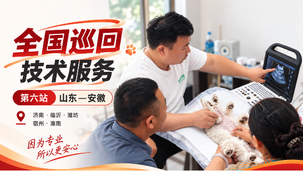 全国巡回技术服务第六站｜山东—安徽，倍特双走进犬舍一线