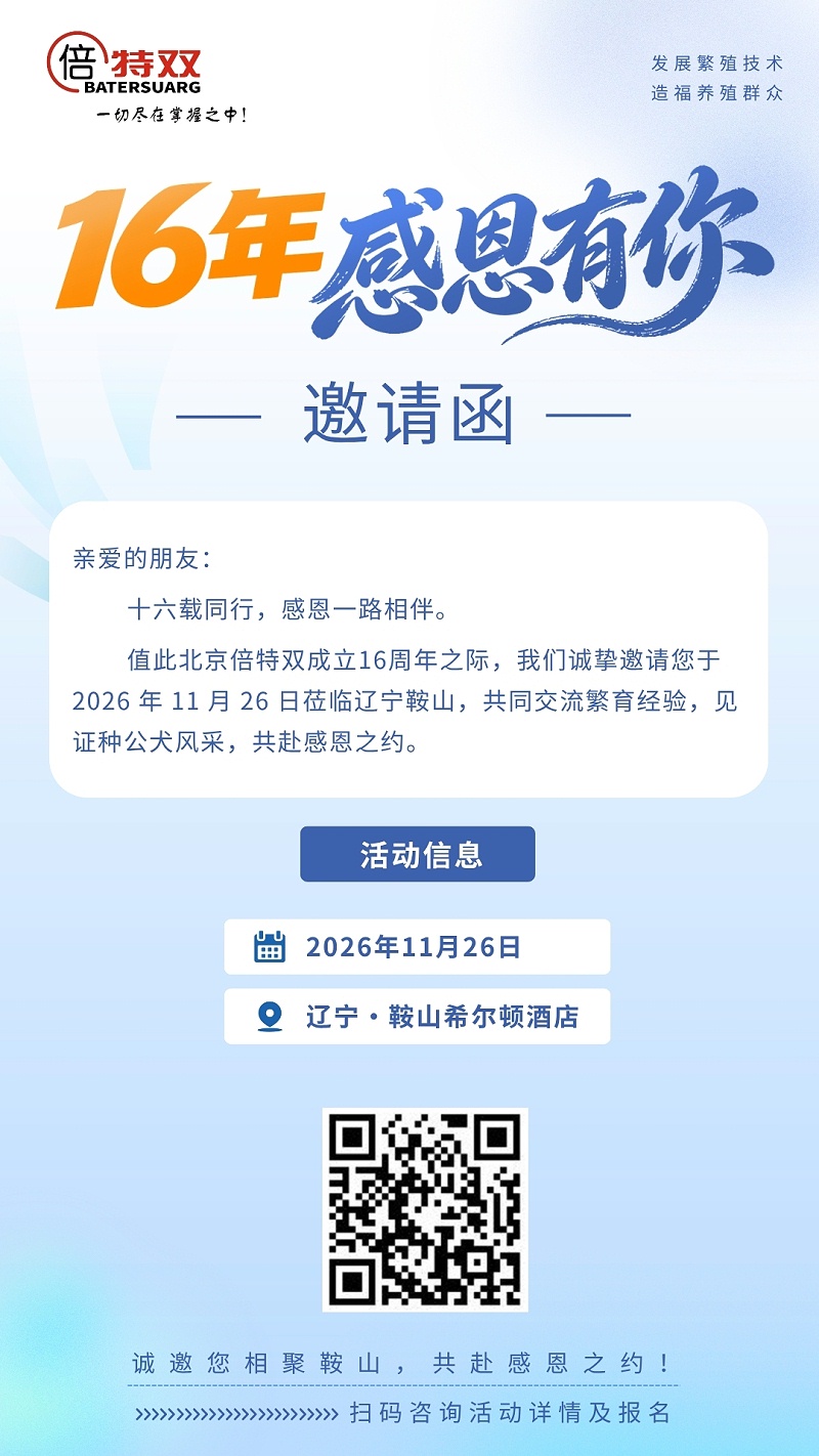 感恩节5(3)
