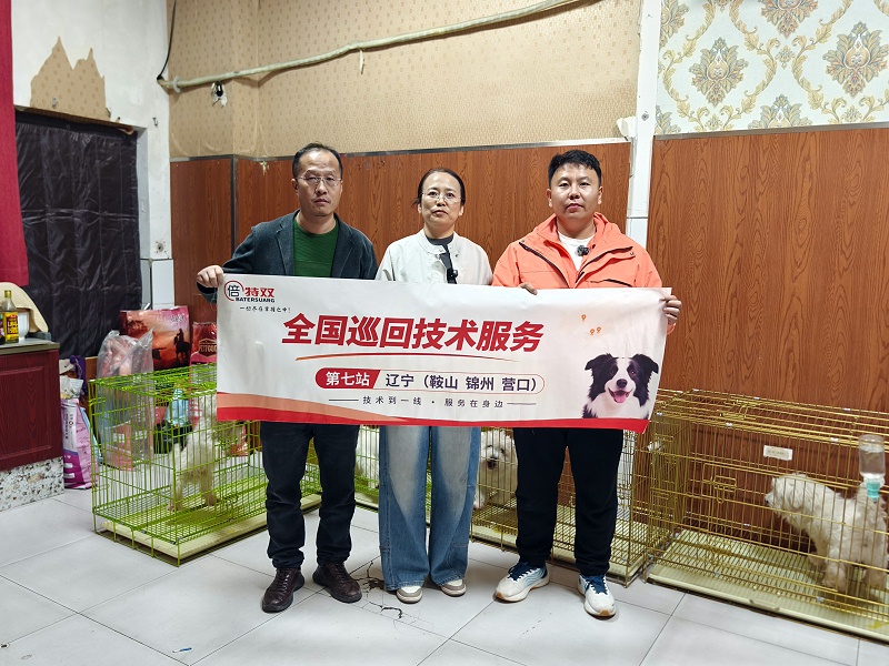 05db510165dbea15f0552cc6121793c6_origin(1)